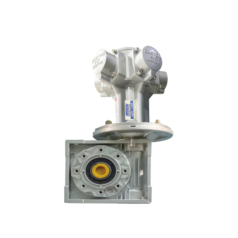 AMP5-RV Yüksek torklu dişli motor
